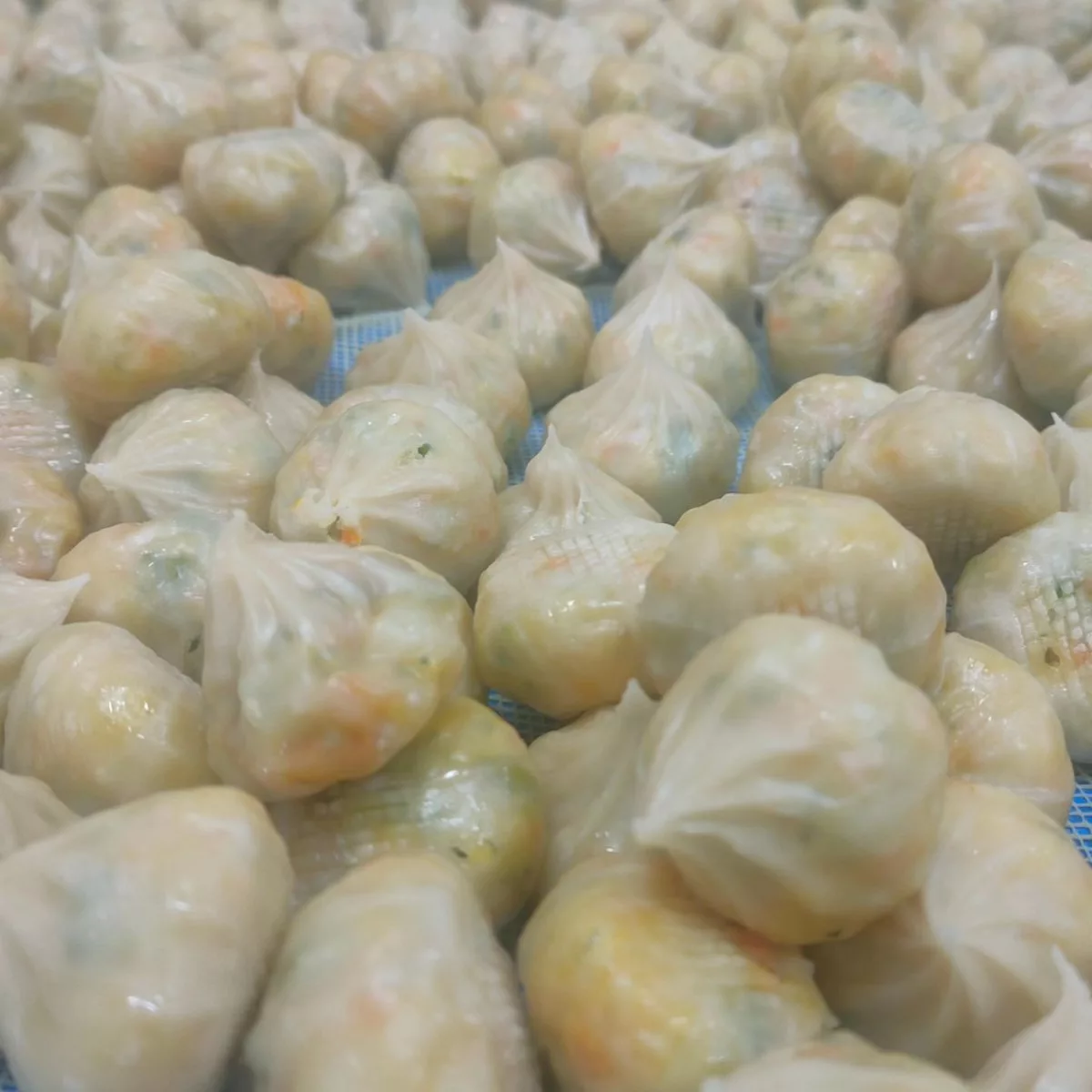 Veg Momos (25 Pieces | 500g) — Momorita Distributions